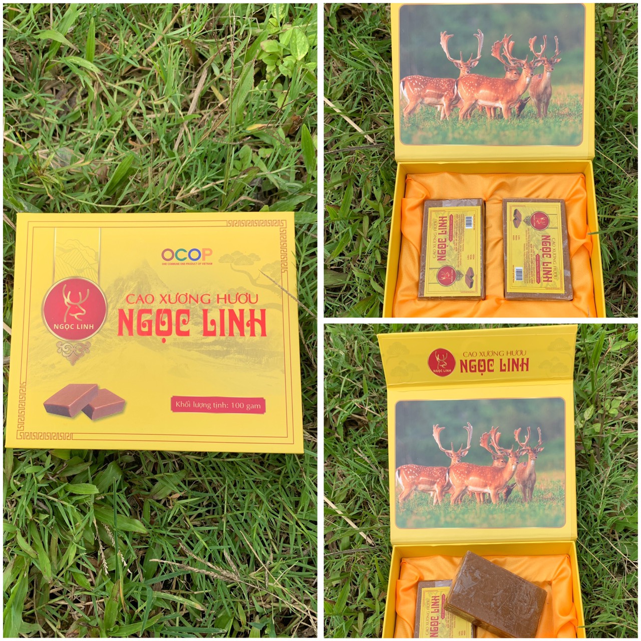 Cao xương hươu Ngọc Linh